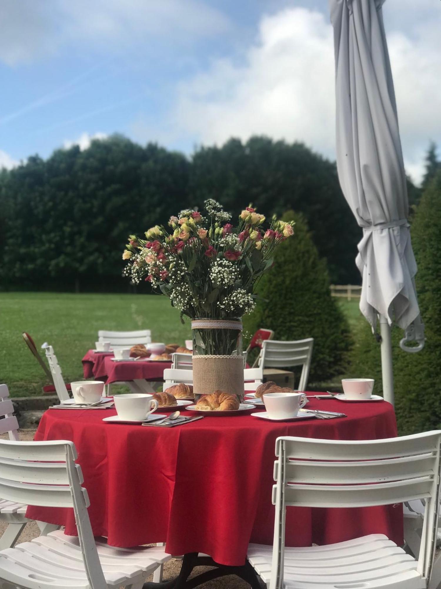 Domaine De L'Orangerie Du Chateau De Motteville Chambres D'Hotes Eksteriør billede